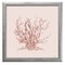 12" x 12" Pink Coral II Framed Wall Art, Contemporary Nature Home Décor, Glass Facing and Hanging Hardware Included